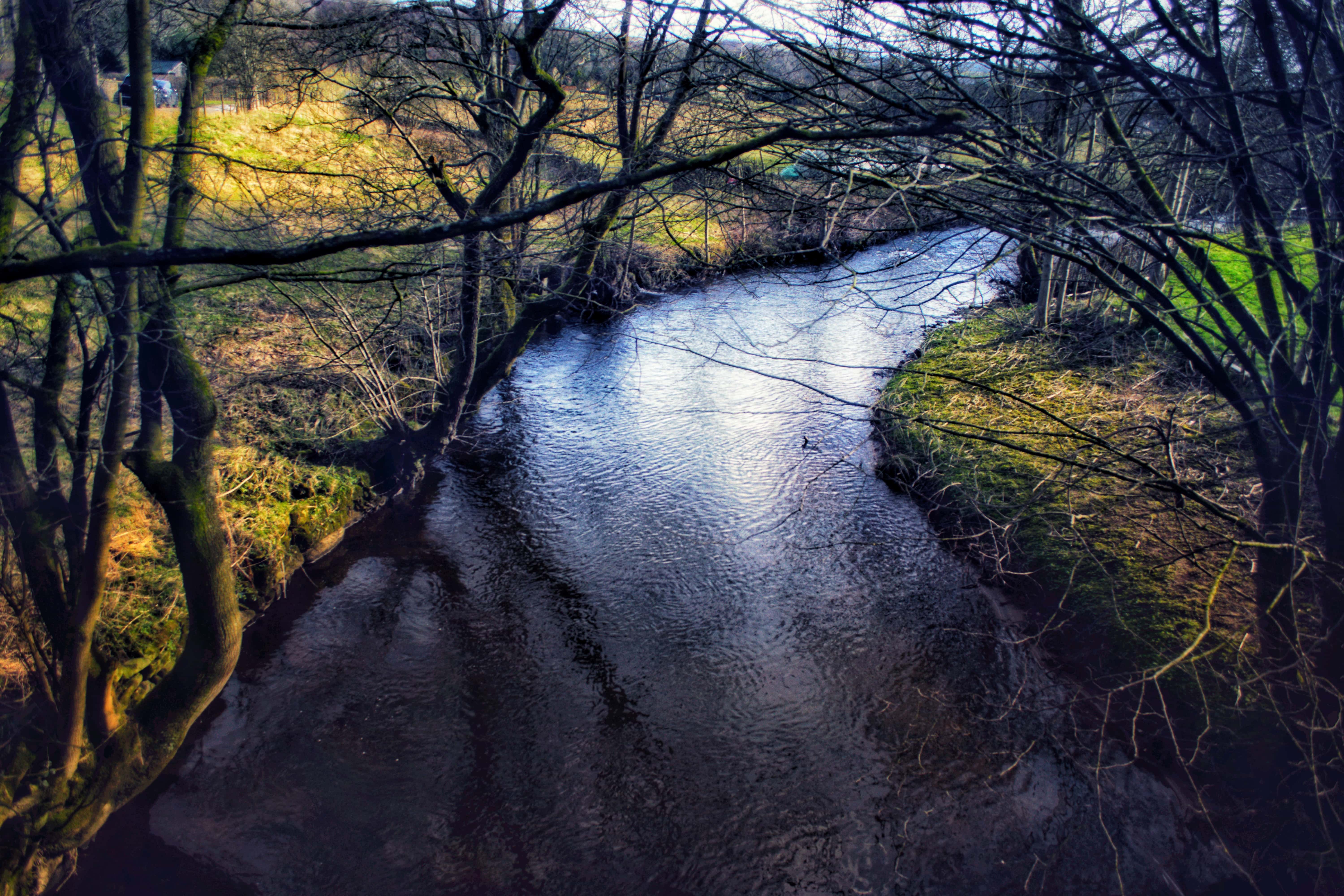 Nature Photography